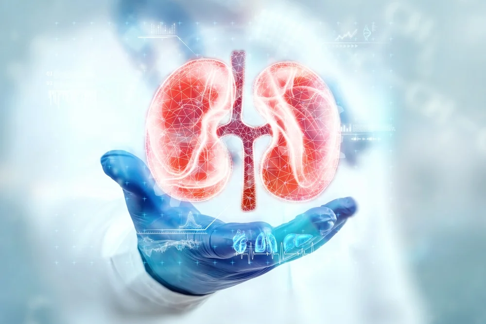 Homeopathy Treatment For Chronic Kidney Failure
