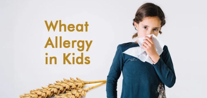 Homeopathy For Wheat Allergy Treatment